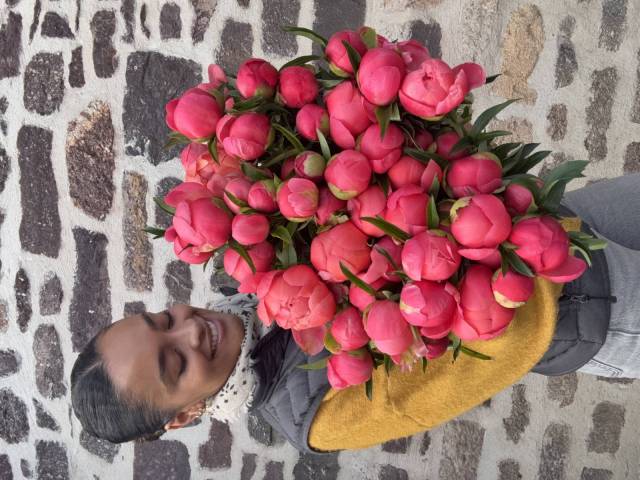 Bouquet de pivoines
